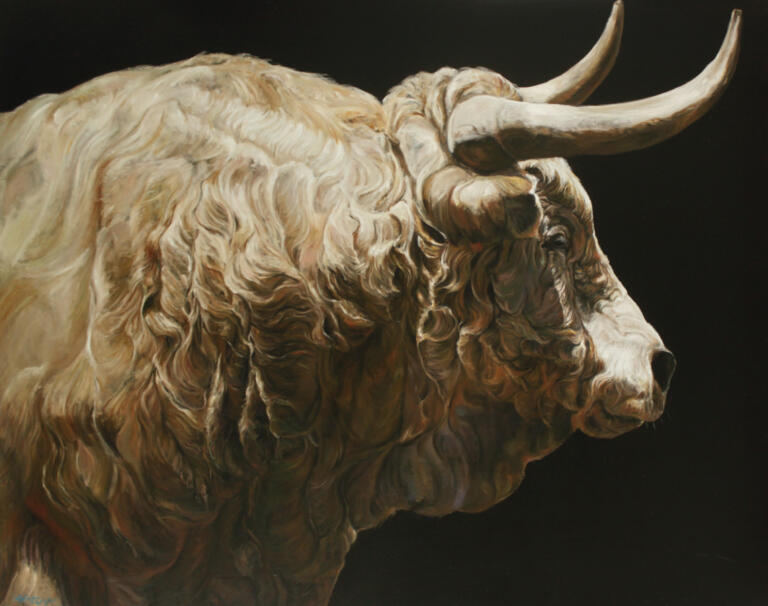 See "N°15038 Toro beige de profil                    " of Capton                    